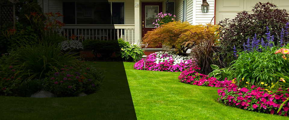 Dolores Landscapers