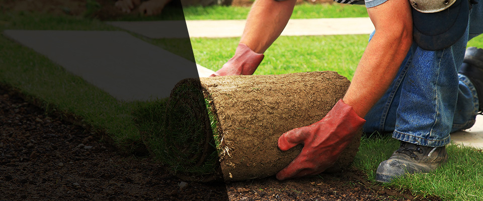 Dolores Landscapers